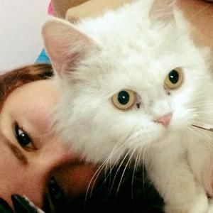 Meet your Posher, Lina